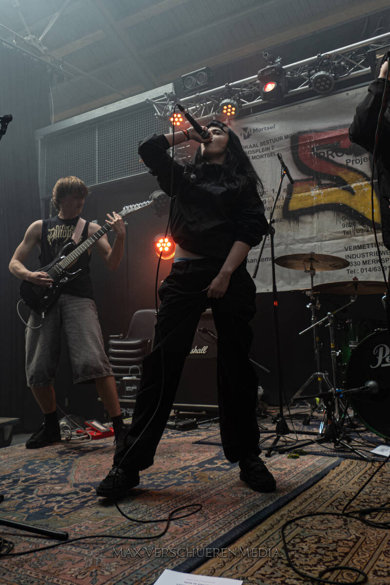 spit-33-standard.jpg
