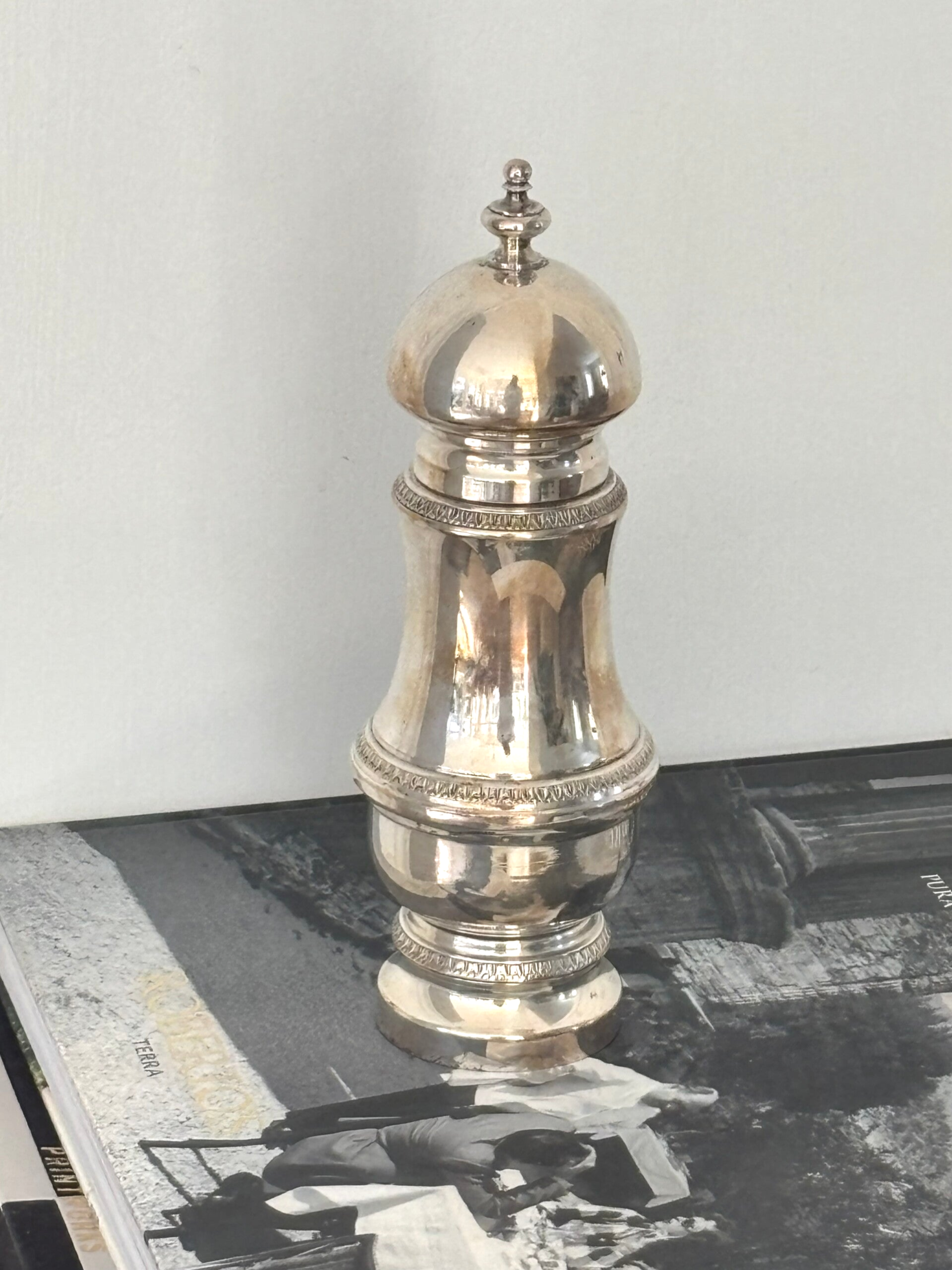 Verzilverde pepermolen - Silver-plated pepper mill