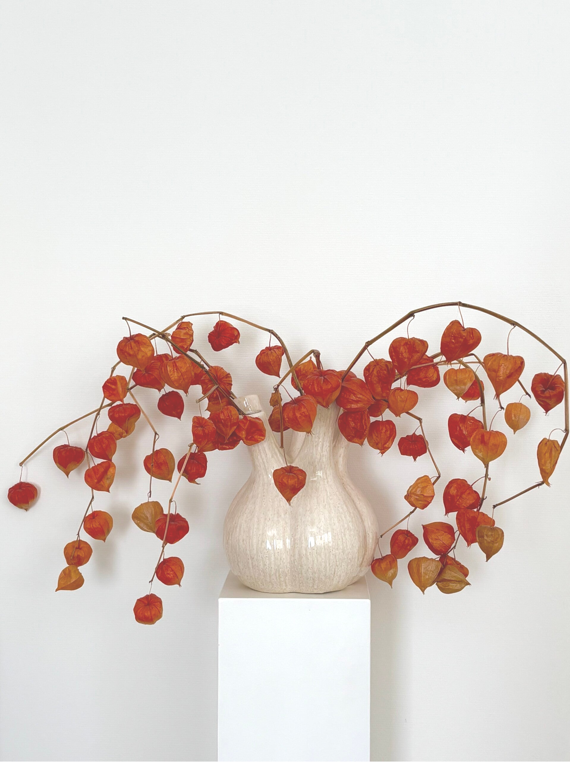 Grote 5-armige vaas - 5-Armed vase