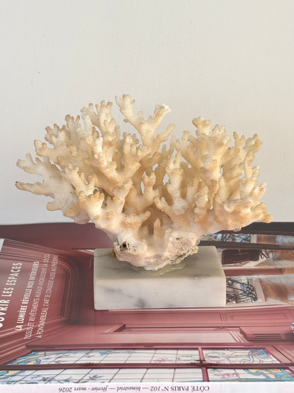 Decoratief stuk - Decorative piece