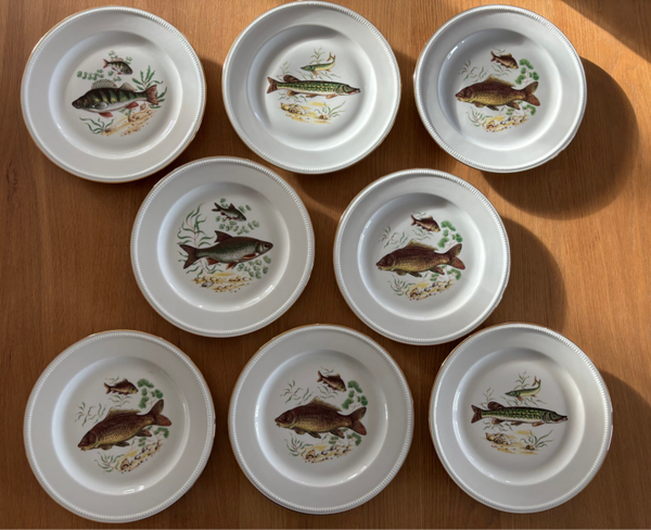 8 Porseleinen borden met visdecoratie van B & Co Limoges - 8 Porcelain plates with fish decoration by B & Co Limoges