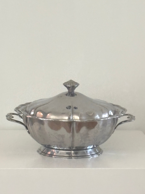 Stijlvolle dekselschaal van inox - Stylish stainless steel covered dish
