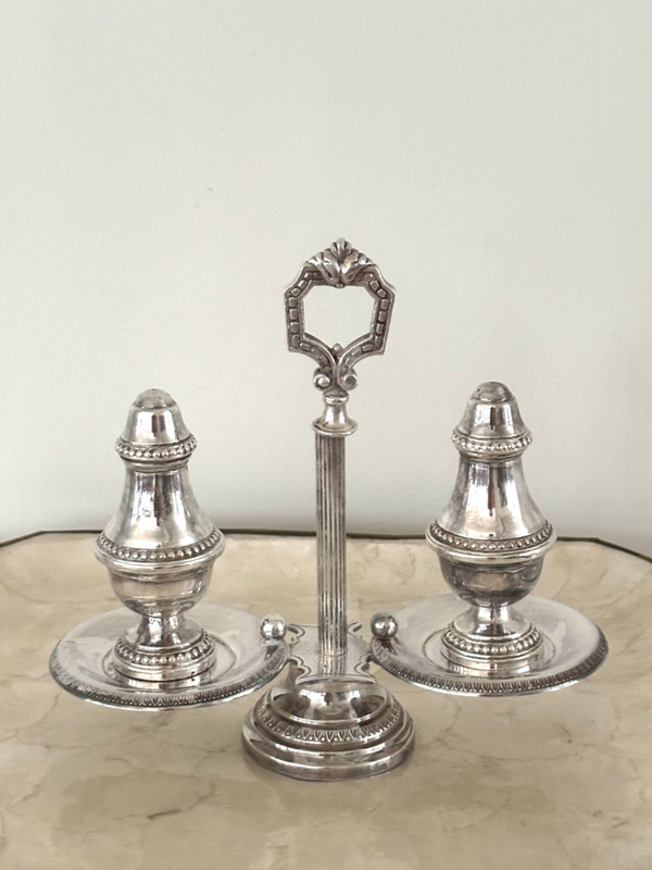 Elegant verzilverd peper- en zoutstel - Elegant silver-plated salt and pepper set