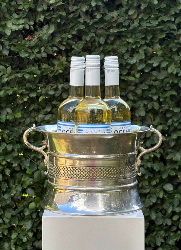Prachtige antieke verzilverde wijnkoeler/jardinière Valenti - Beautiful antique silver-plated wine cooler/jardinière by Valenti