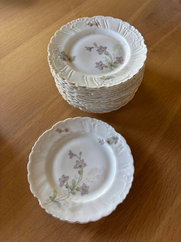 Prachtige set van 12 bordjes van Carl Tielsch - Beautiful set of 12 plates by Carl Tielsch