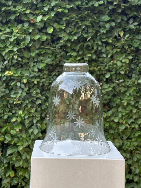 Glazen stolp = Glass cloche
