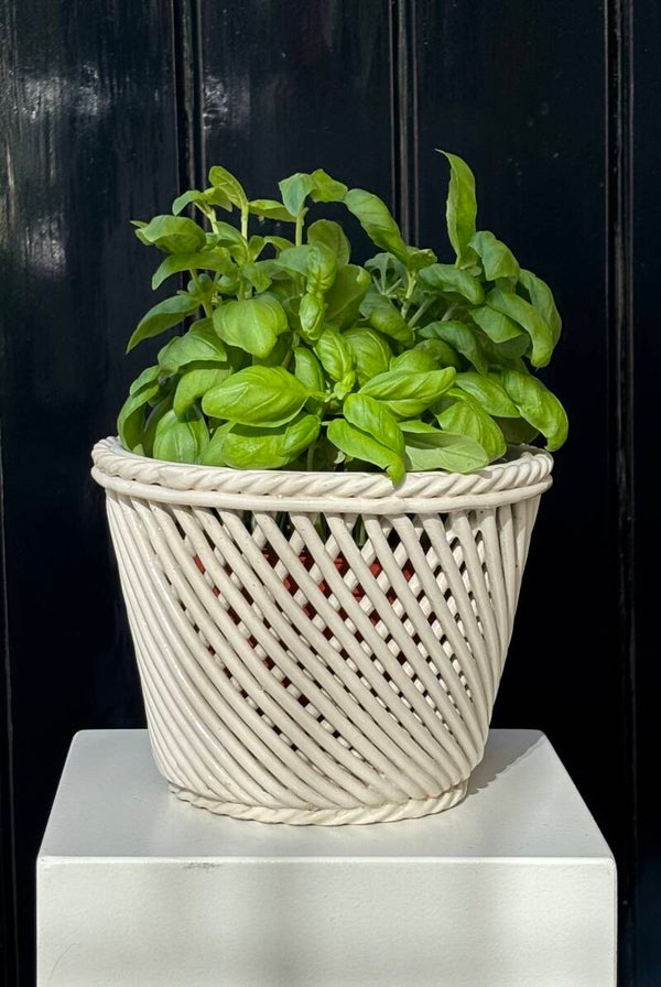 Italiaanse handgemaakte vintage bloempot - Italian handcrafted vintage planter