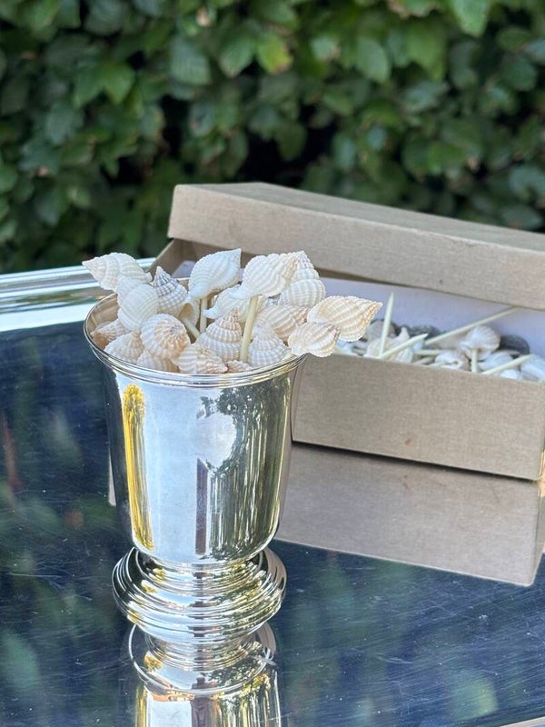 Set van 20 tapasprikkers met een sierlijke schelp - Beautiful set of 20 cocktail picks featuring an elegant shell detail