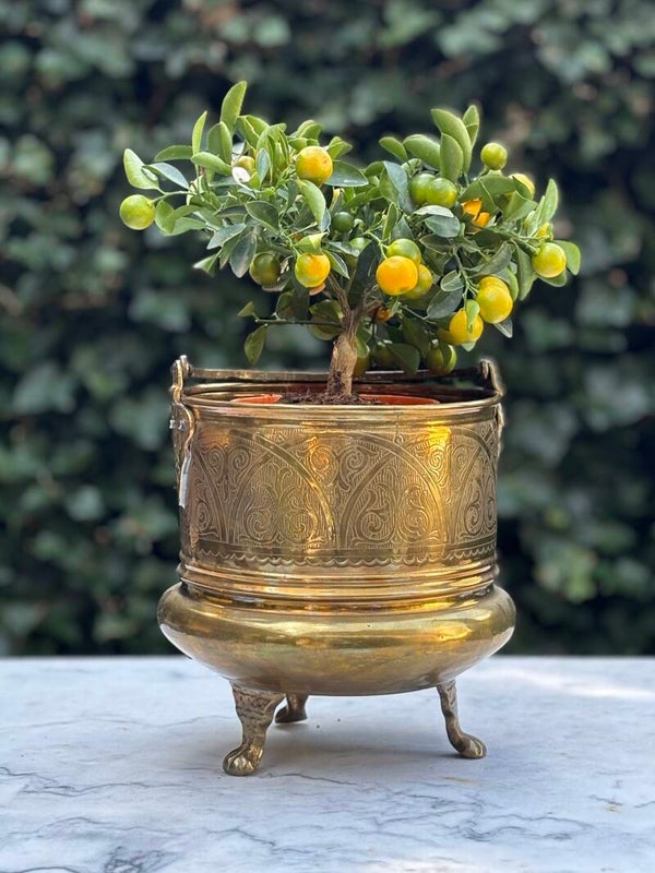 Koperen jardinière op pootjes - Copper jardinière on feet