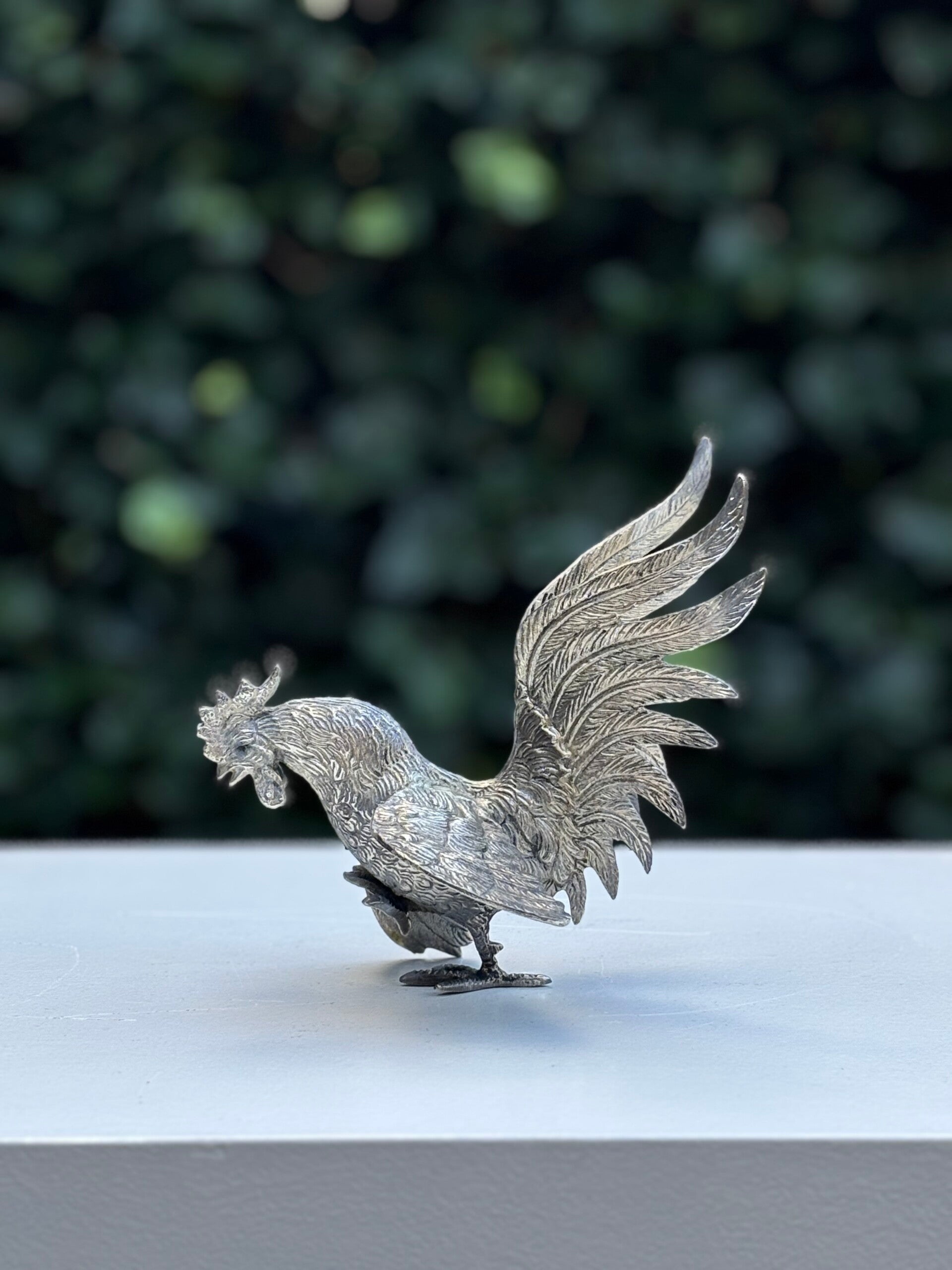 Verzilverde kemphaan - Silver-plated ruff