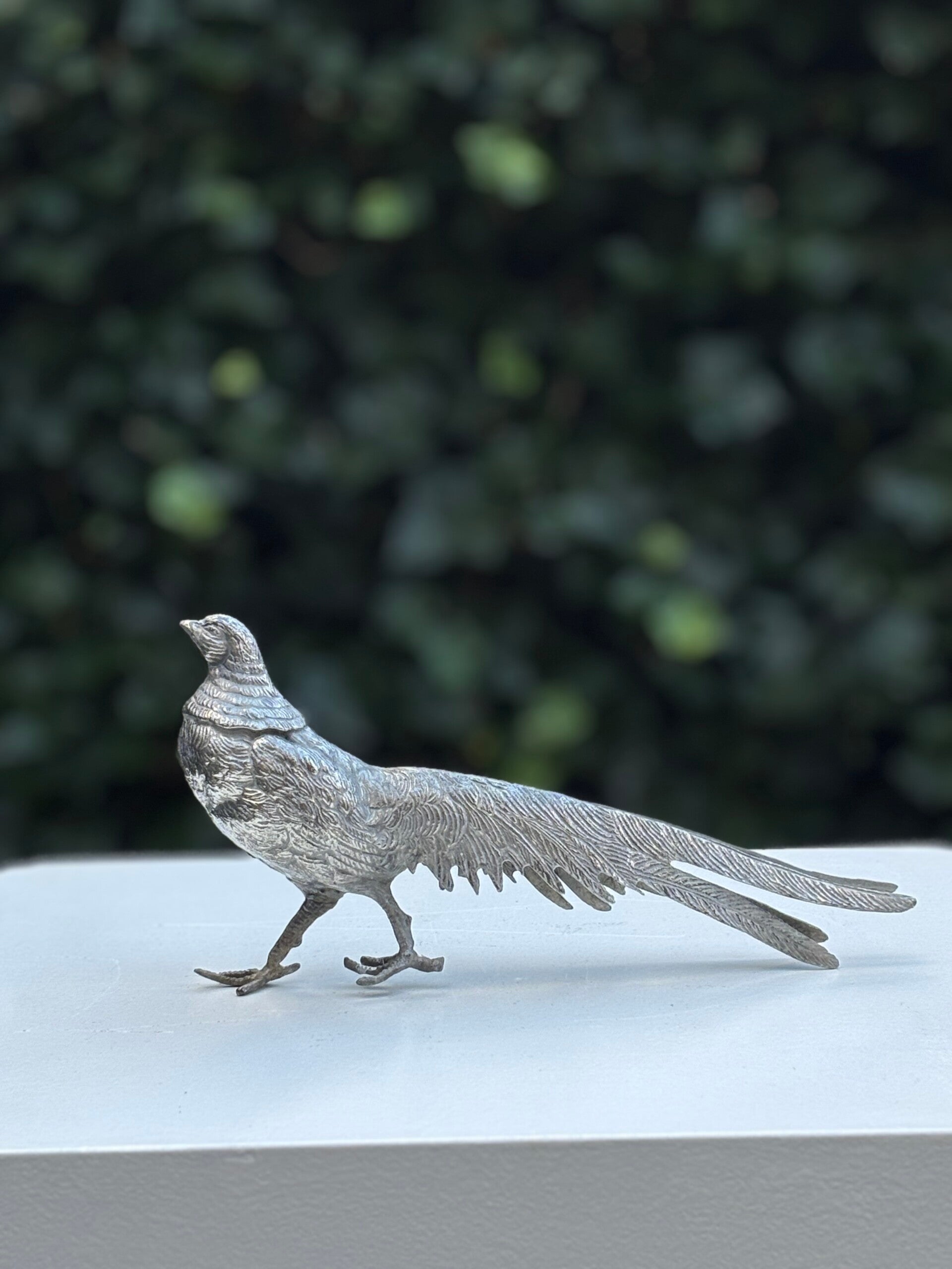 Decoratieve fazant  - Decorative pheasant