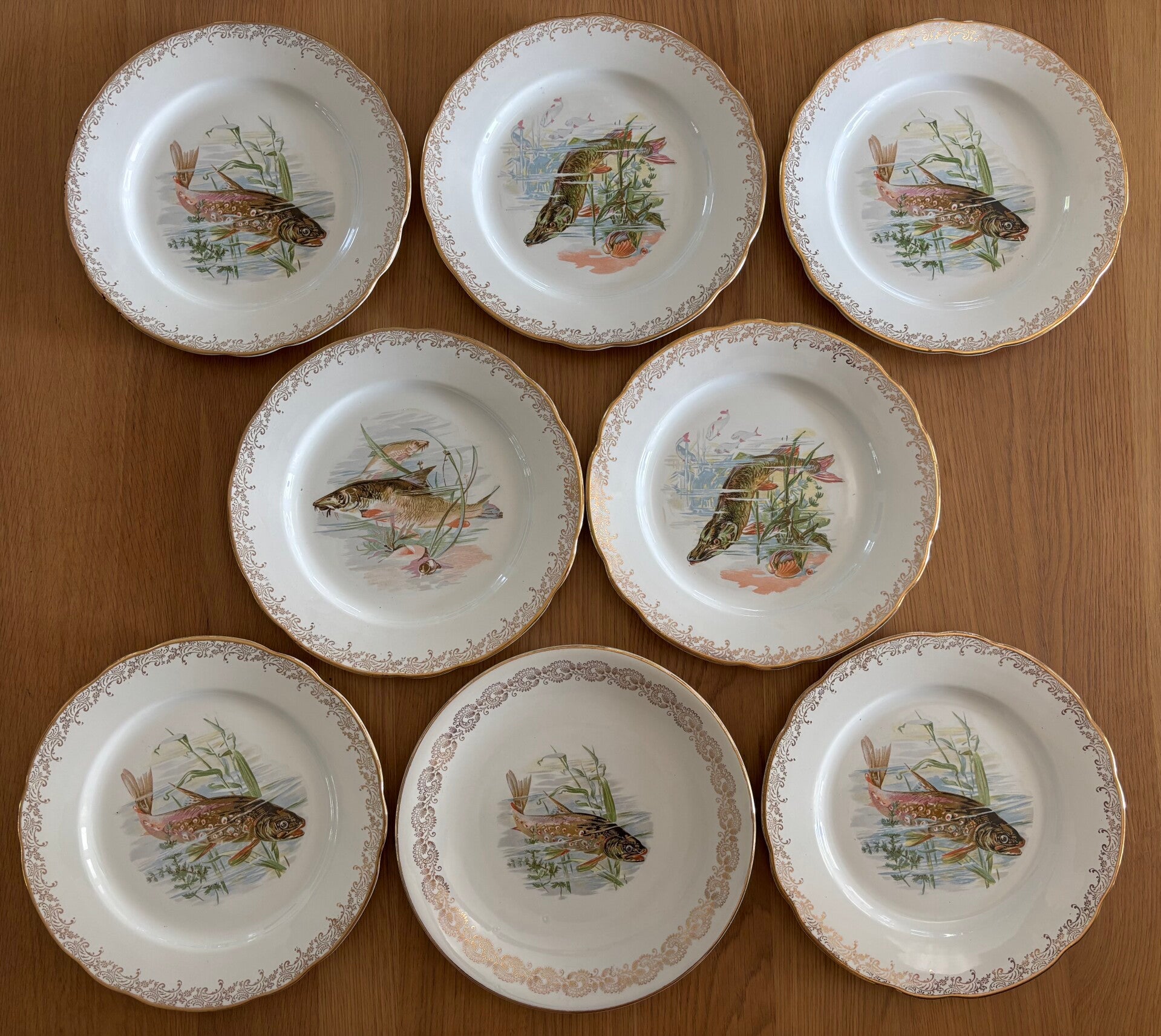 Set van 8 dinerborden van Real Opalor France - Set of 8 dinner plates by Real Opalor France