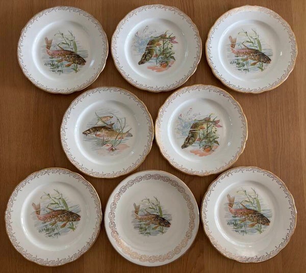 Set van 8 dinerborden van Real Opalor France - Set of 8 dinner plates by Real Opalor France