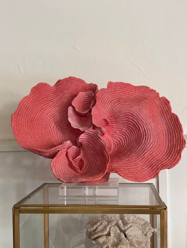 Decoratief imitatie koraal op een transparante voet - Decorative faux coral on a transparent stand