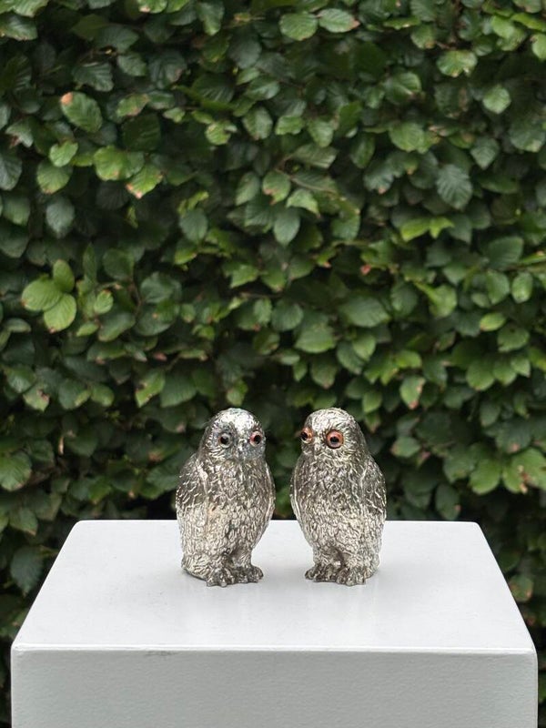 Peper- en zoutstel 'uilen' - Pepper and salt set 'owls'