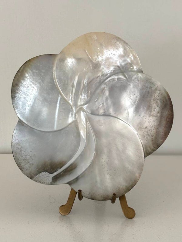 Geslepen oud Tahitiaanse parelmoerschelp - Carved old Tahitian mother-of-pearl shell