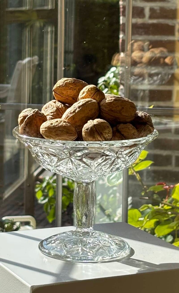 Elegante glazen schaal op voet - Elegant glass footed bowl
