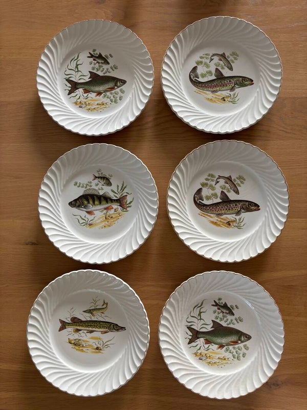 6 Dinerborden Lunéville France - 6 Dinner plates by Lunéville France