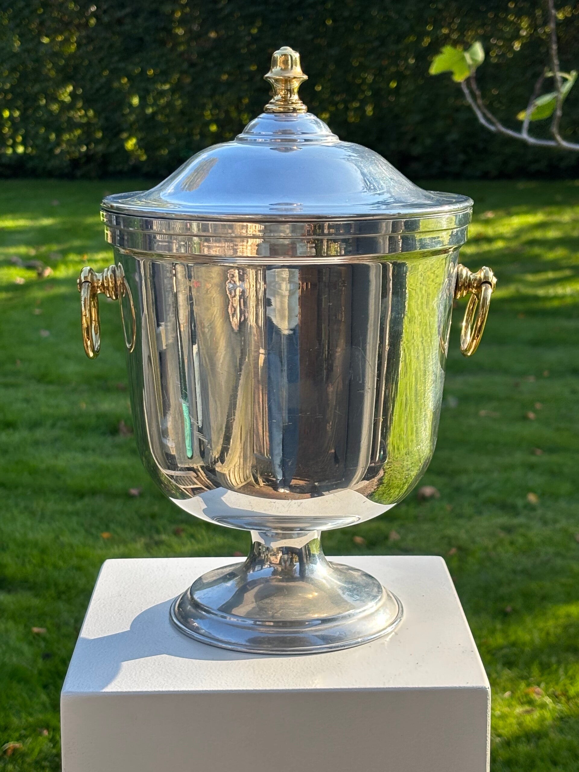Elegante vintage ijsemmer op voet - Elegant vintage ice bucket on a pedestal
