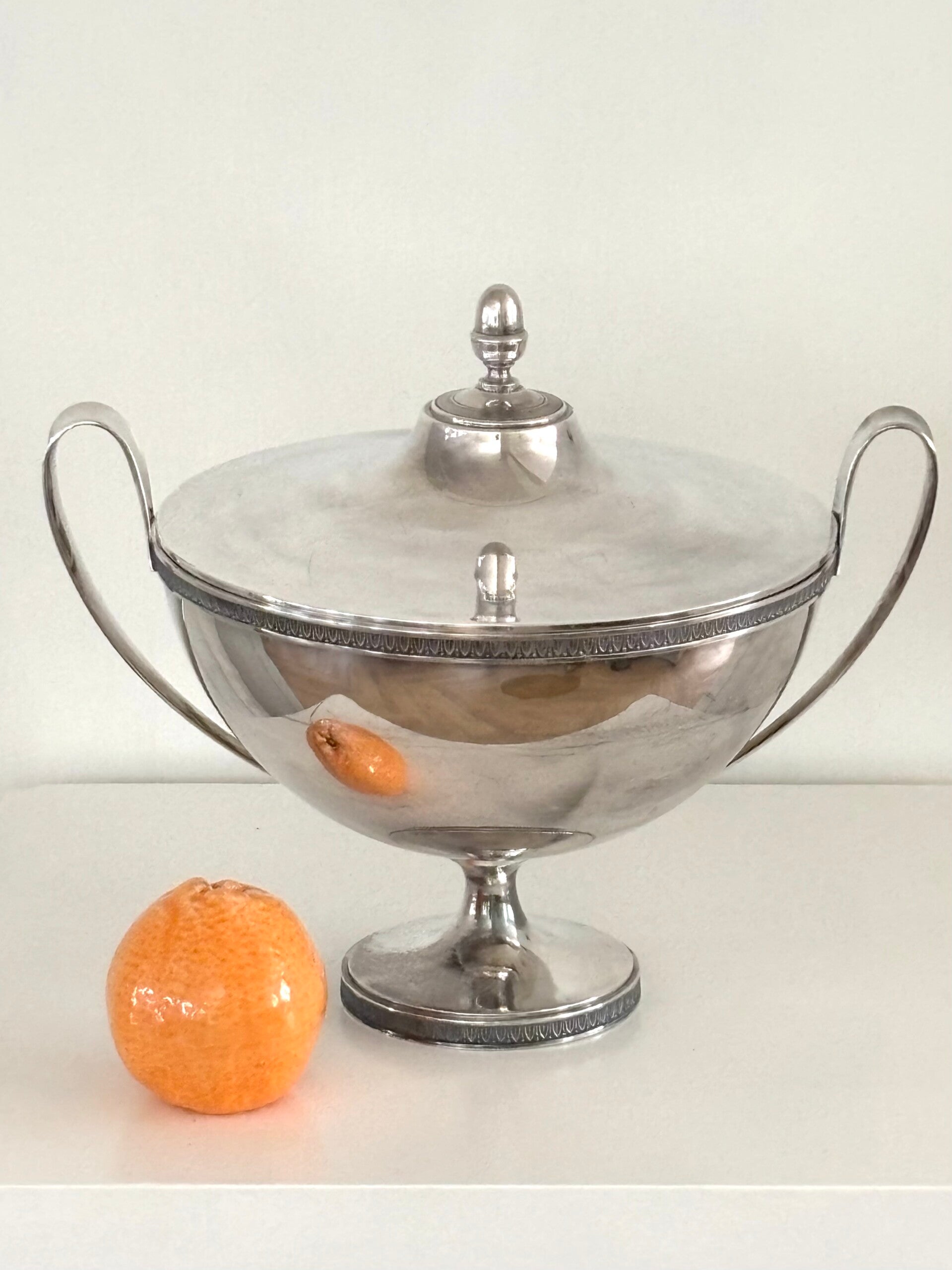 Grote verzilverde soepterrine - Large silver-plated soup tureen