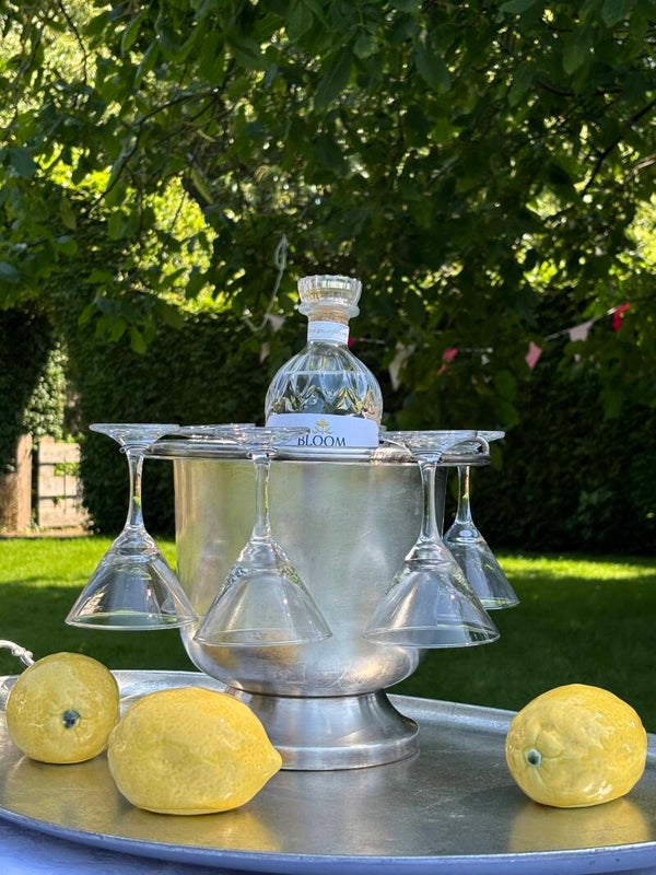 Verzilverde gin-/Champagnekoeler & 6 cocktailglazen - Silver-plated gin/Champagne cooler accompanied by six matching cocktail glasses