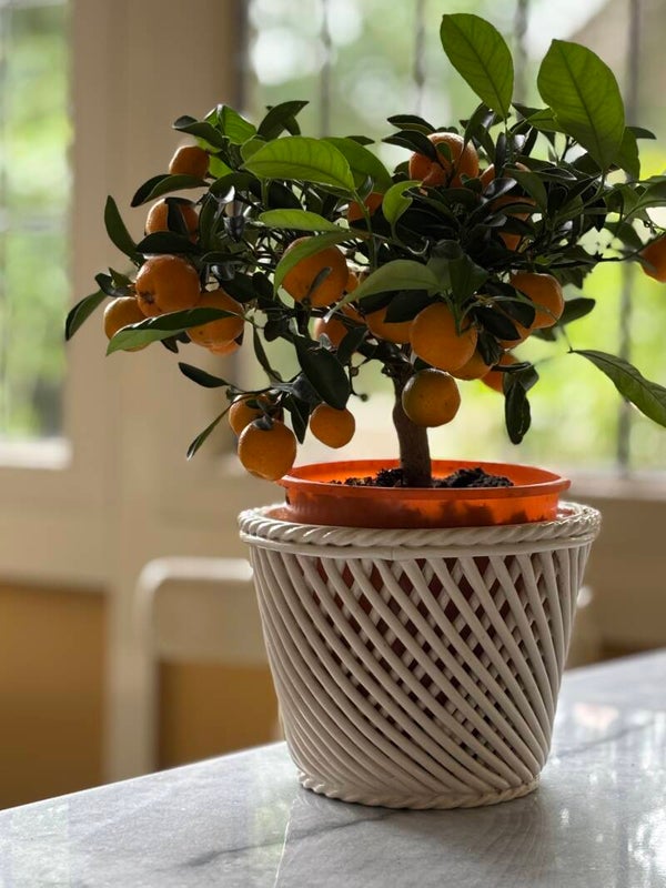 Italiaanse handgemaakte vintage bloempot - Italian handcrafted vintage planter