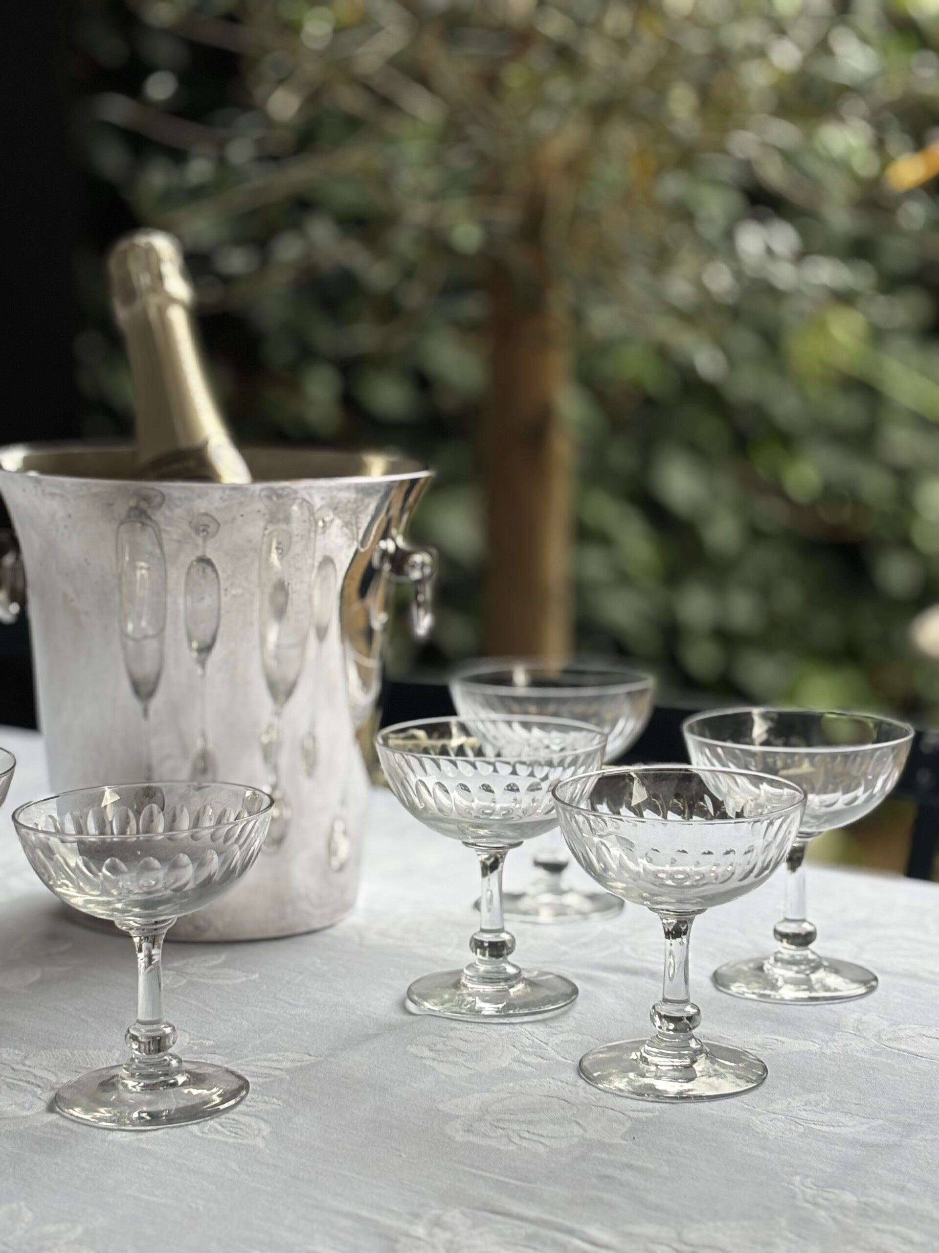 6 Feestelijke Champagnecoupes - 6 Festive Champagne coupes