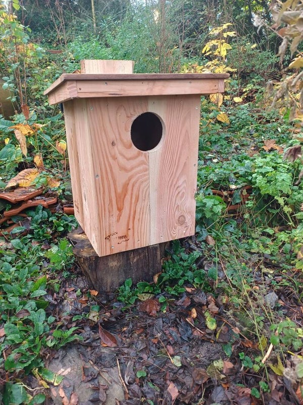 Nestkast Bosuil