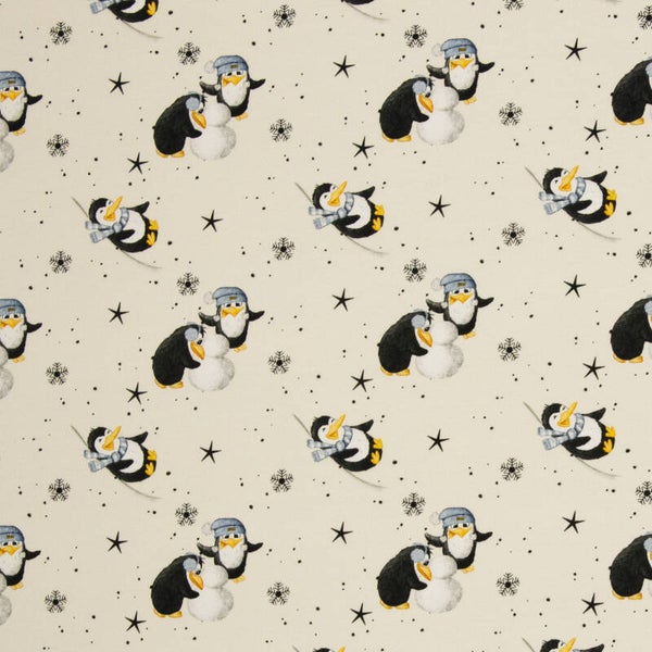 Sweat / French Terry Funtarktis