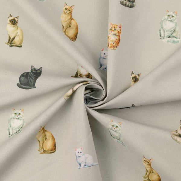 Baumwollstoff Katzen grau