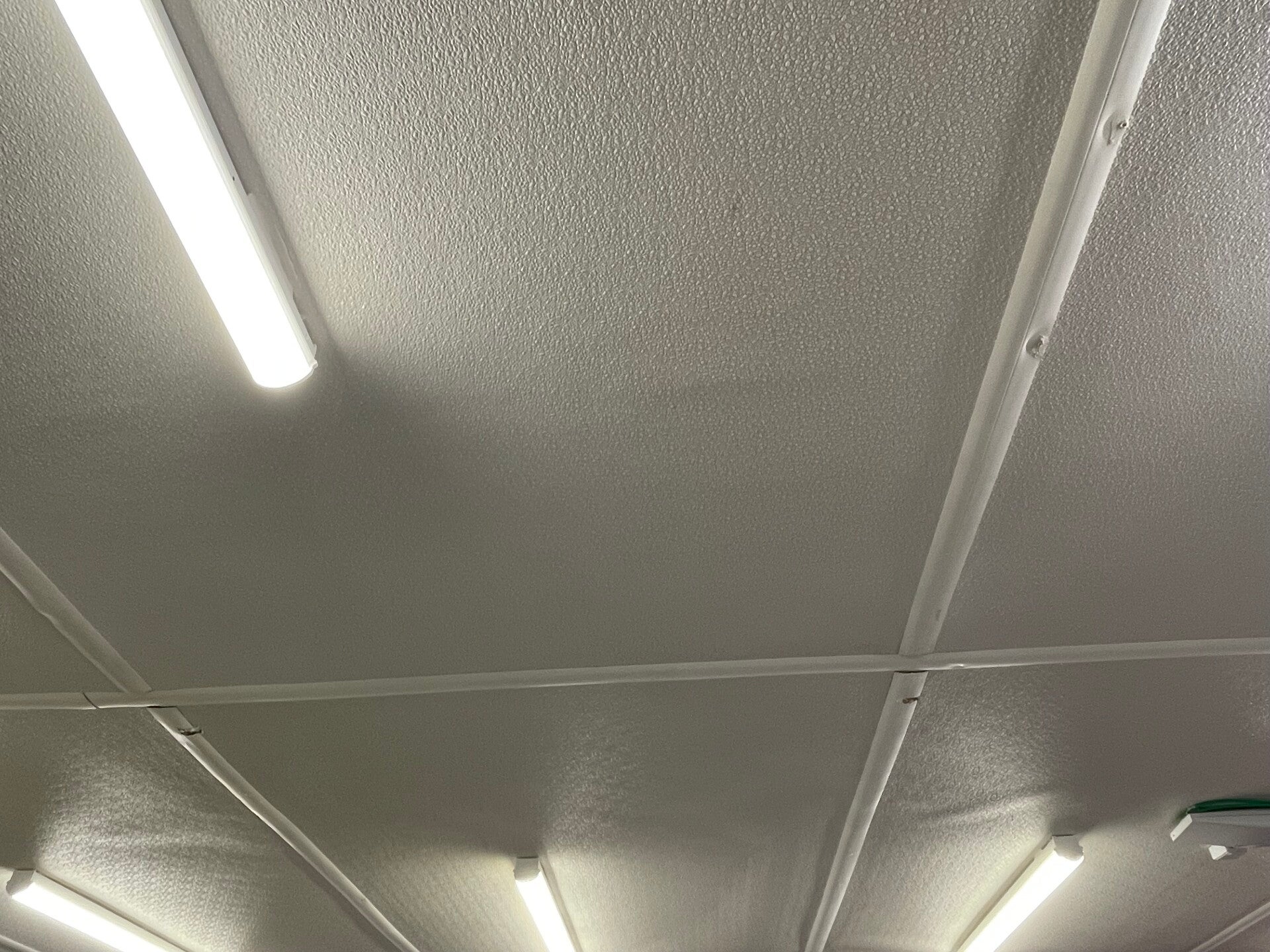 Clean commercial cooler interiors and spotless ceiling panels showcasing professional deep‑cleaning and maintenance quality.
