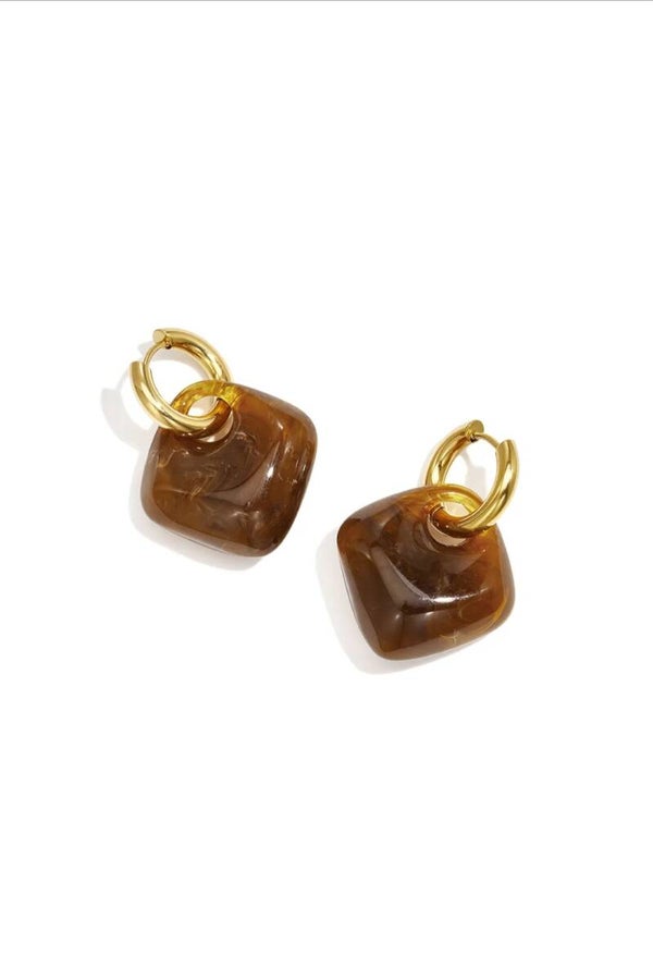 Oorbellen RVS bruin