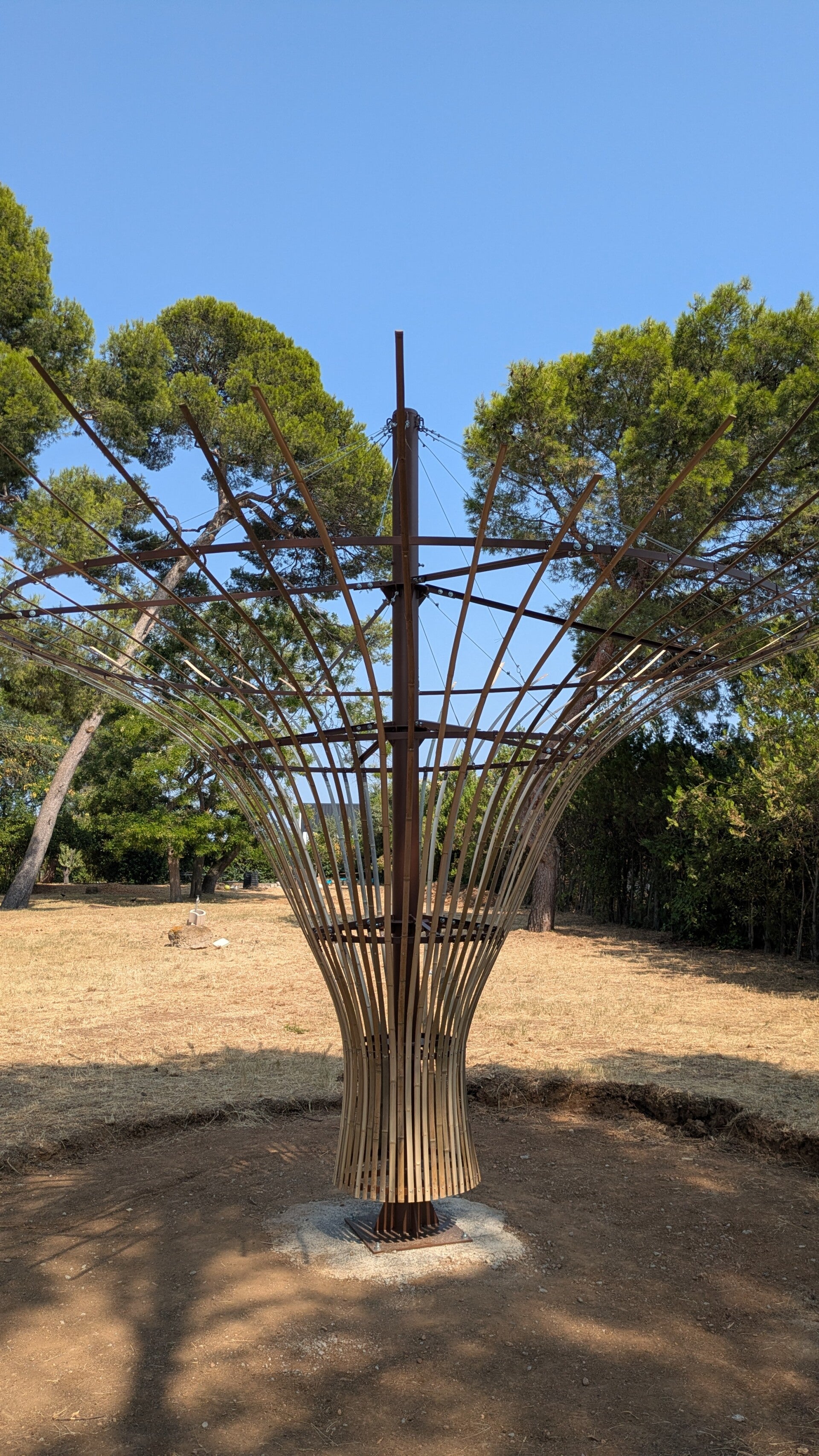 Auvent de porte d'entrée, marquise bambou