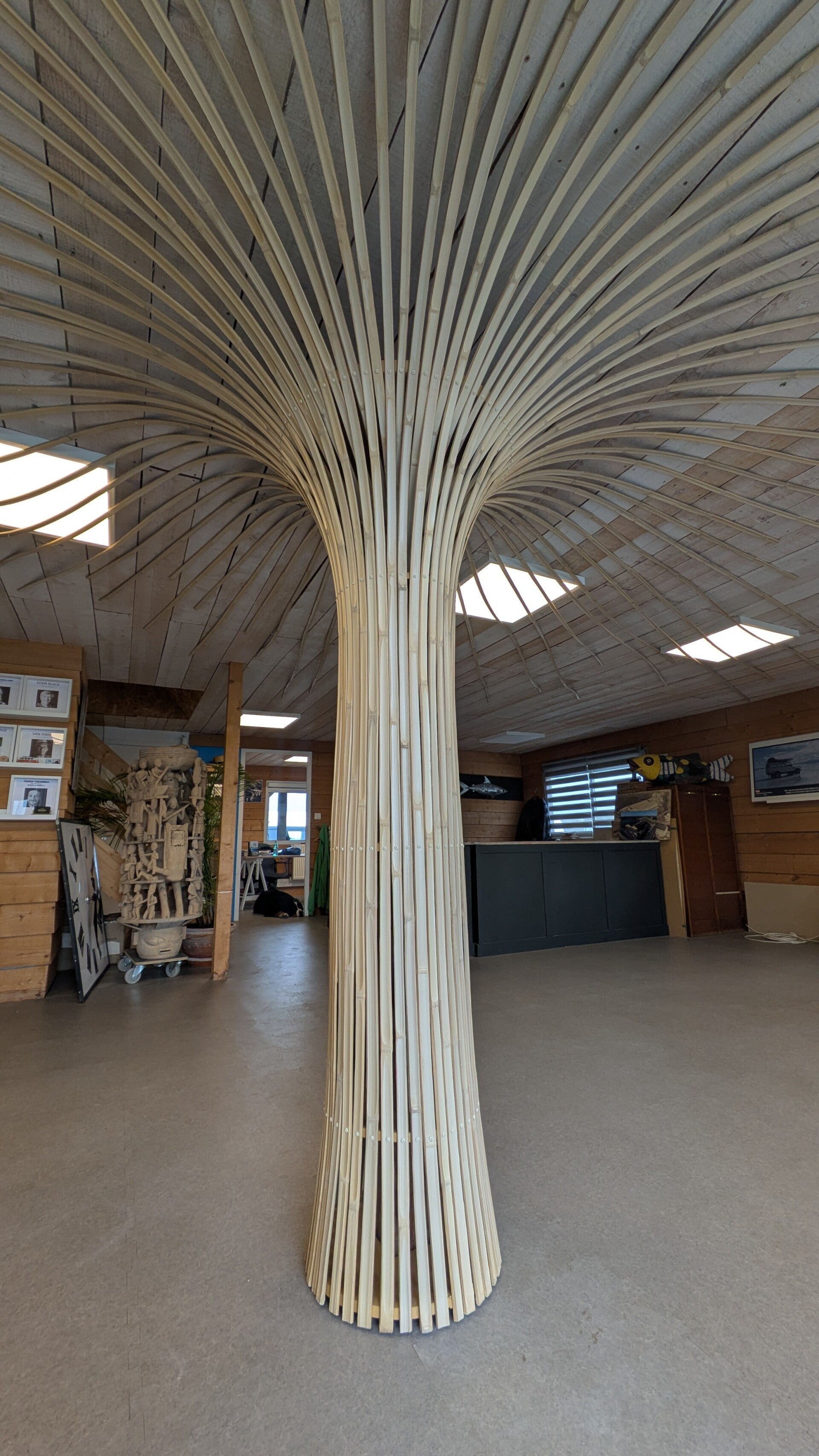 arbre bambou