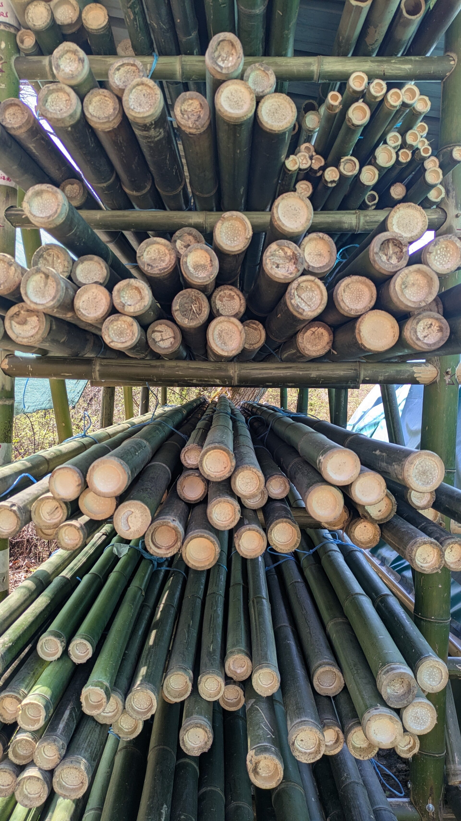 Séchoir à bambou