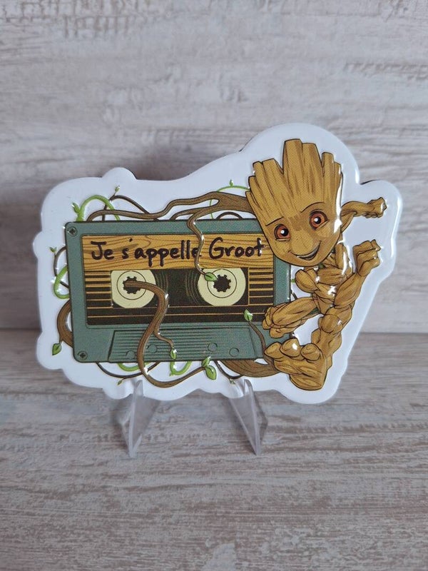 MAGNET DISNEYLAND PARIS " GROOT"
