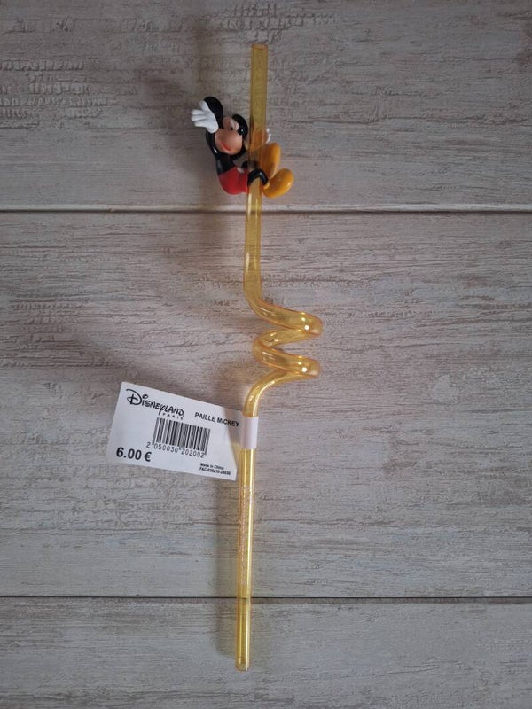 PAILLE DISNEYLAND PARIS " MICKEY "