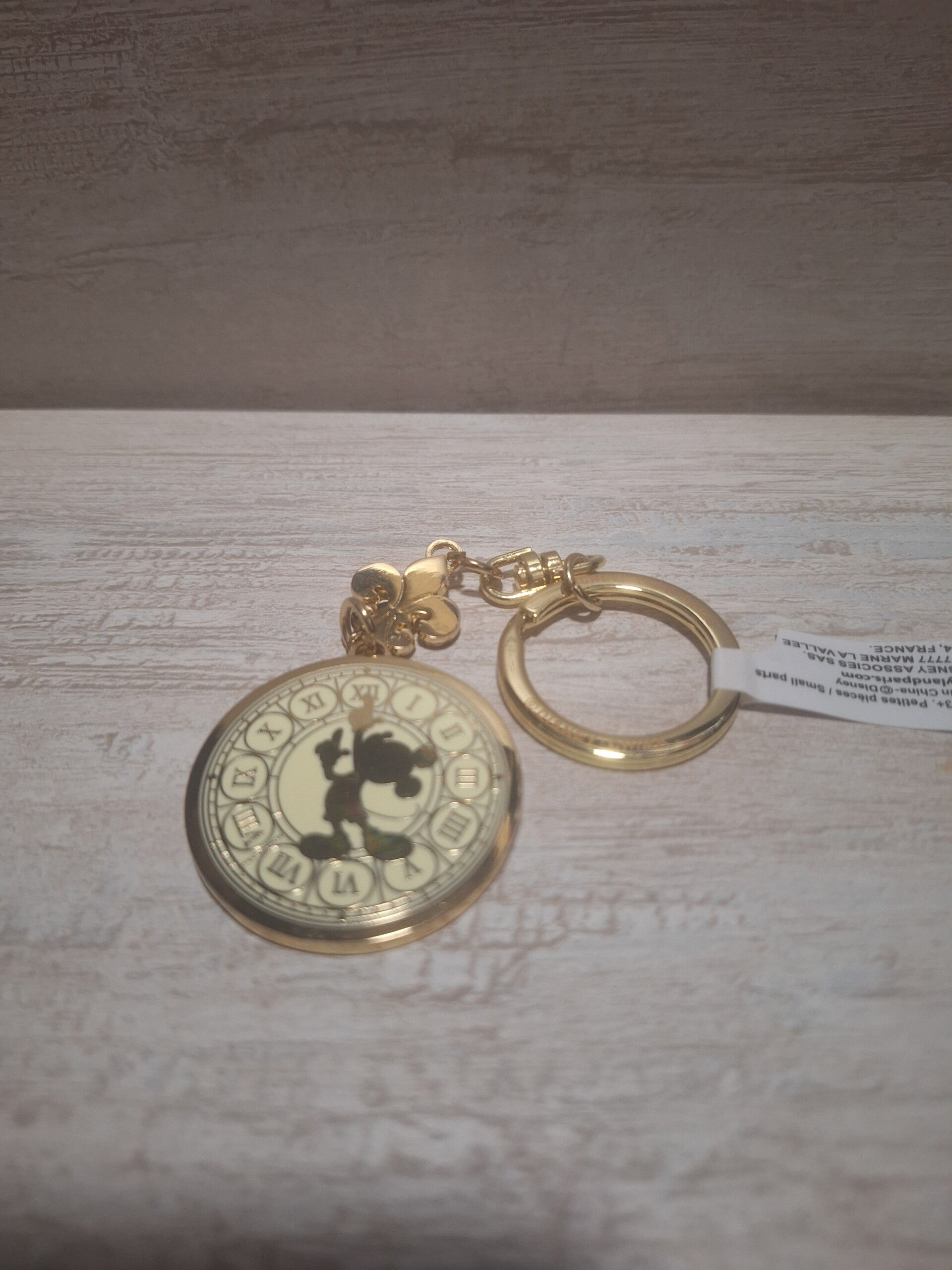 PORTE CLE " DISNEYLAND HOTEL "
