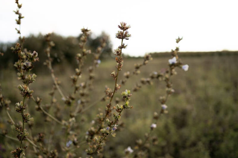 _dsc9260-standard-0f8xhz.jpg