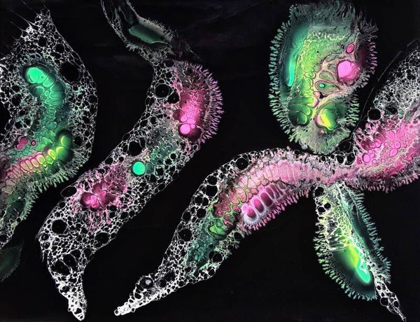 Florescent Sea Creatures