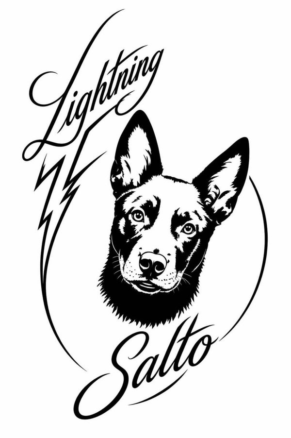 Vinyl stickers van jouw hond of paard – van foto naar silhouet!