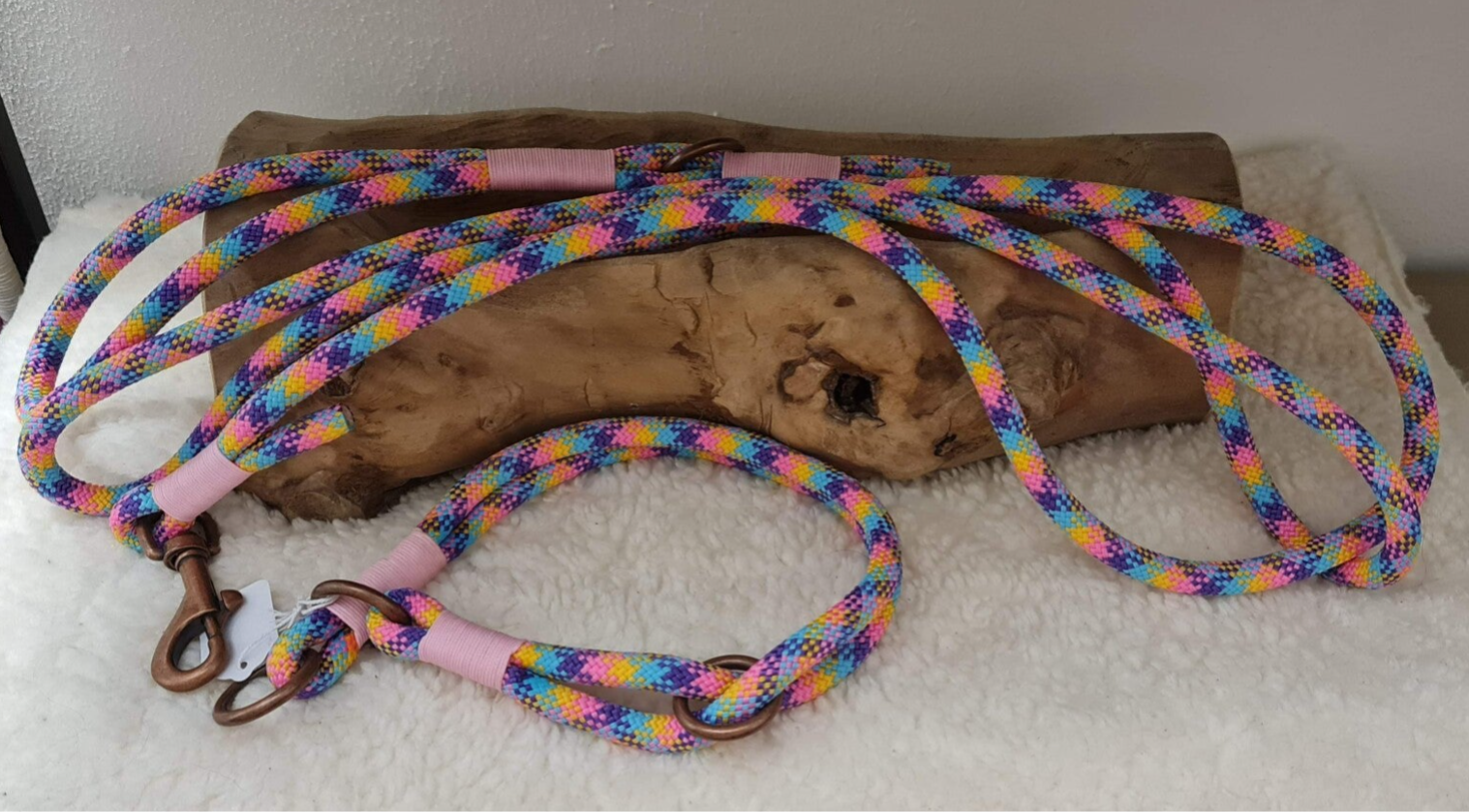 PPM set slip halsband en lange lijn.