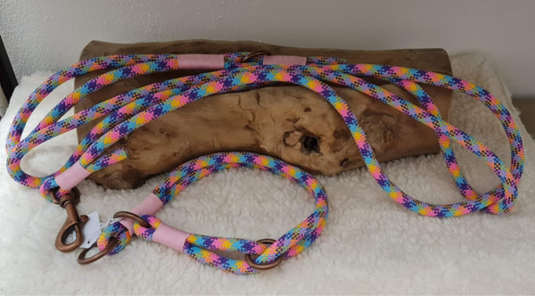 PPM set slip halsband en lange lijn.