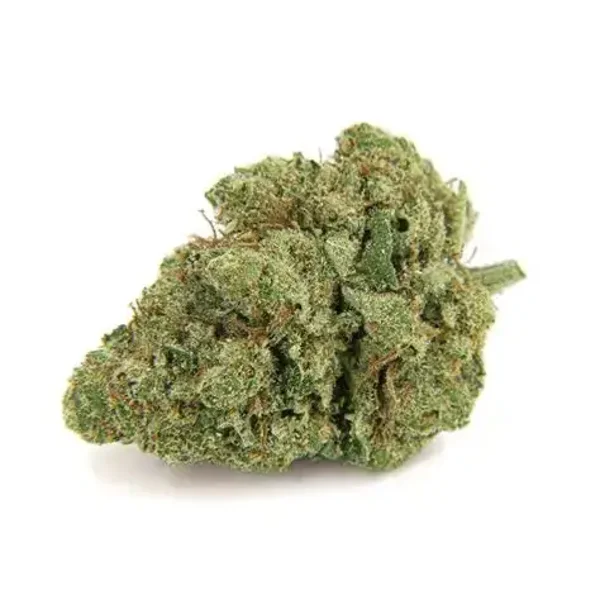 Fleur CBD - AMNESIA