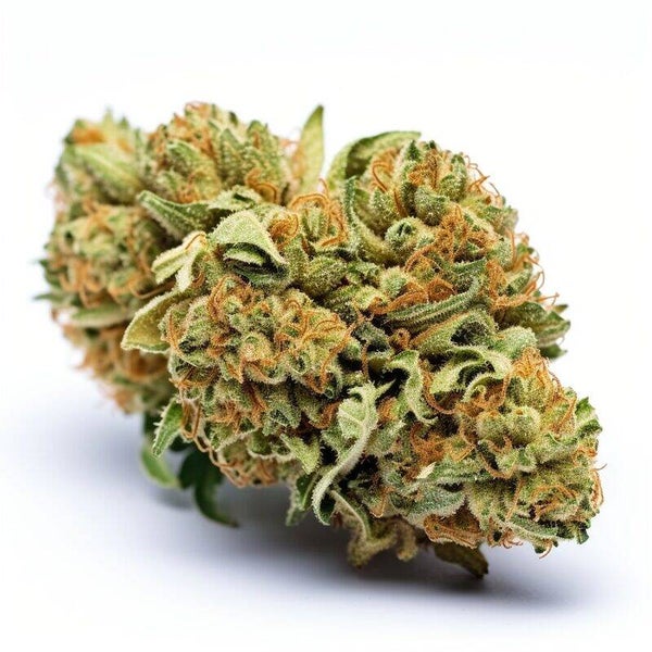 FLEUR CBD - TANGIE SUISSE