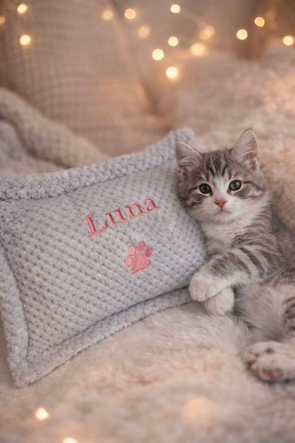 Waffle Fabric 38cm x 25cm Personalised Embroidered Pet Pillow