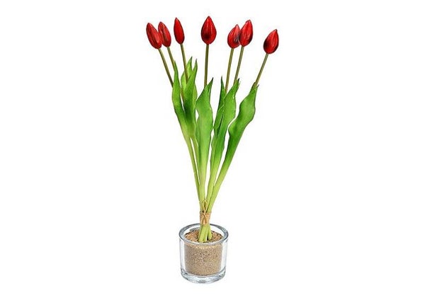 Tulpen Boeket met 7 Tulpen van Plastic Rood - (B/H/D) 6x44x6cm