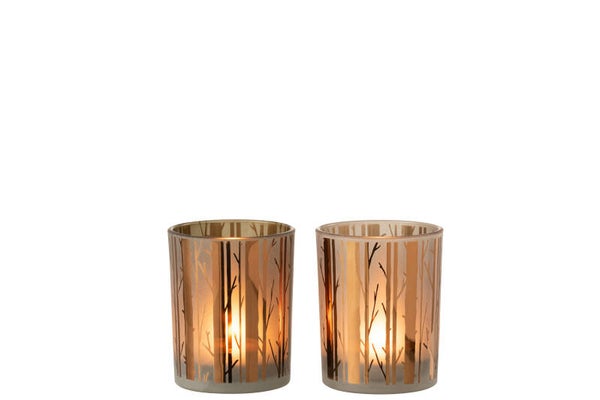 J-Line Windlicht Boom Glas Bruin Medium L10xB10xH13 cm Assortiment van 2 stuks Jline-by-Jolipa-