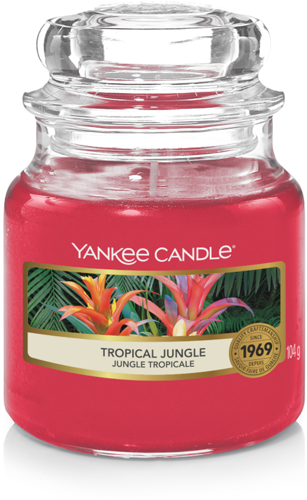Yankee Candle Tropical Jungle Small Jar