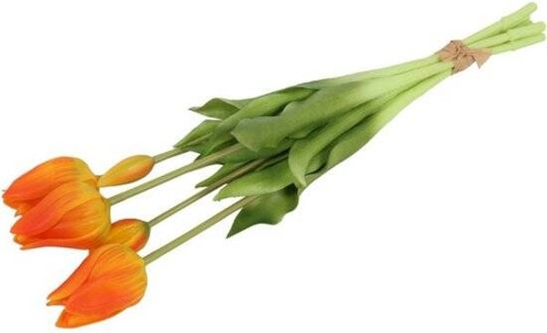 Boeket Tulpen - Countryfield bos Tulpen Greigii - Geel /Oranje - Hoogte 45 cm